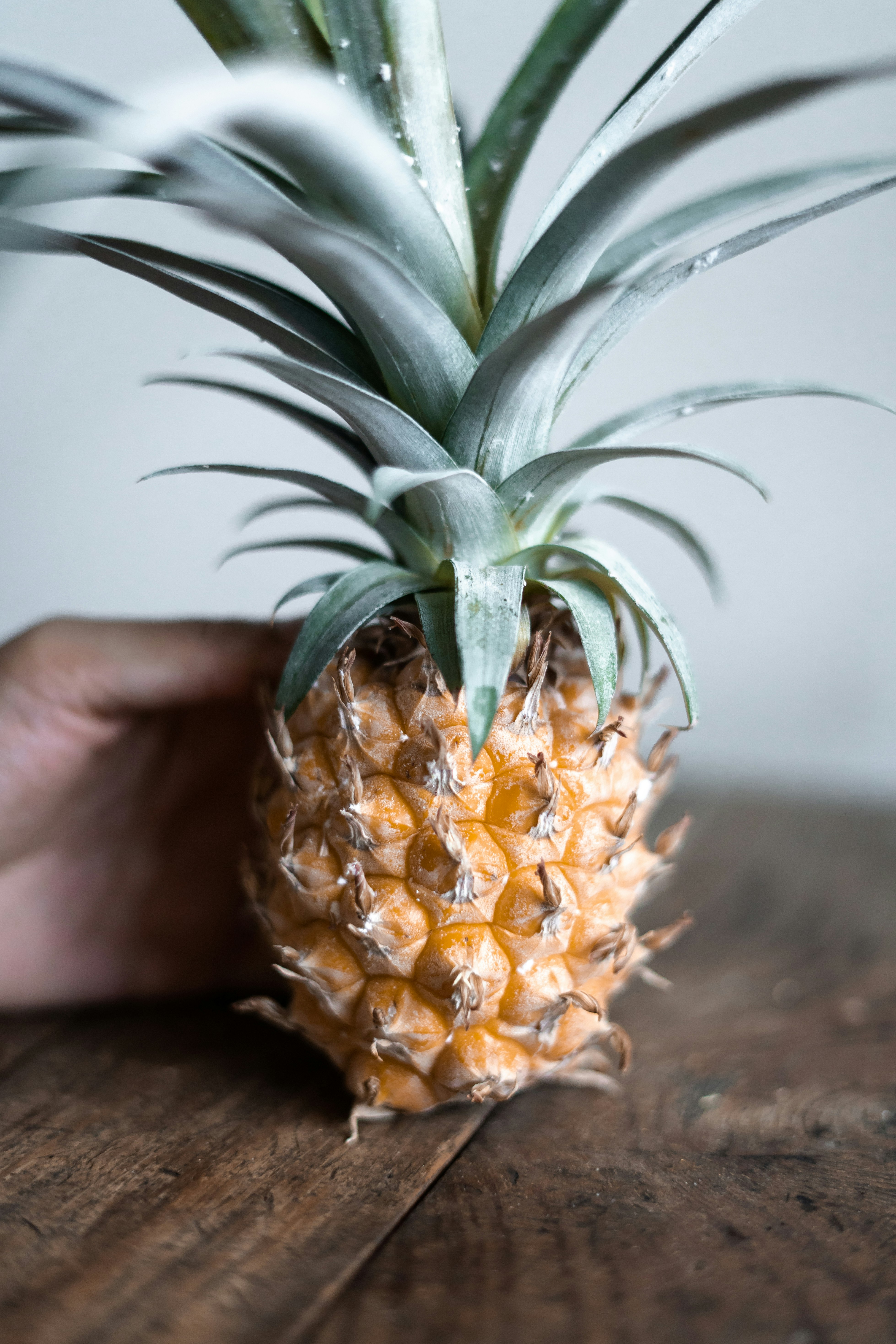 shallow focus photo of person holding pineapple